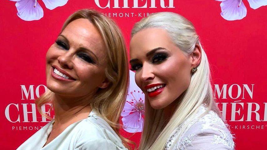 Blondinen-Showdown: Die Katze trifft auf Idol Pam Anderson