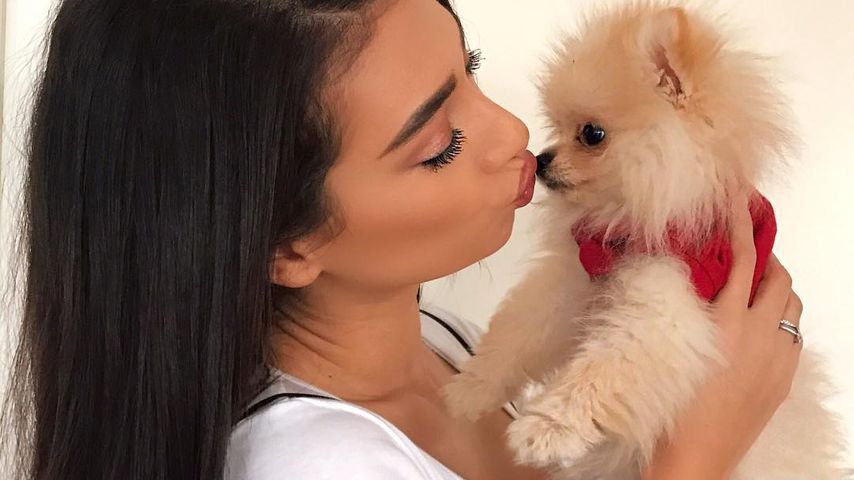 Nach Drama & Tränen um Hund Bianco: So geht’s Paola Maria!