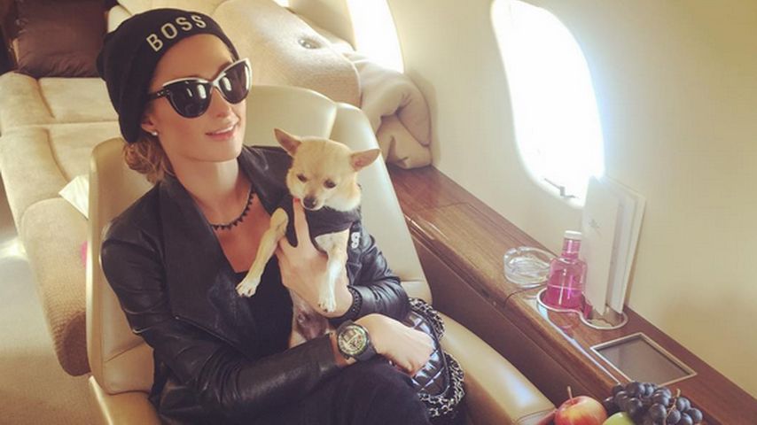 Paris Hilton mit ihrem Hund Peter Pan