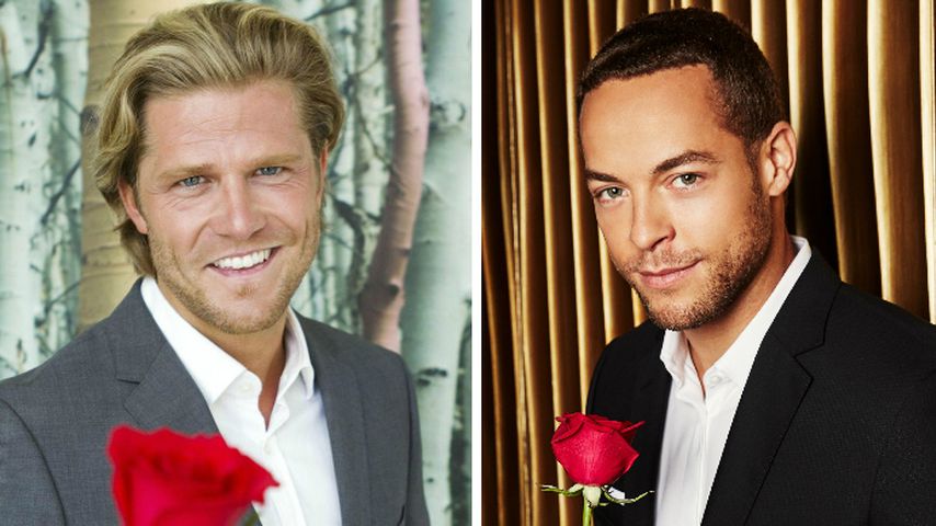 Das hält Ur-Bachelor Paul Janke vom neuen Rosenkavalier