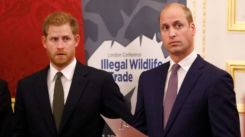 So reagierten Harry & William auf die Scheidung ihrer Eltern