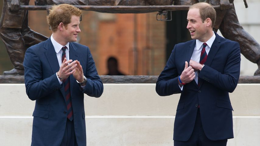 Prinz Harry und Prinz William