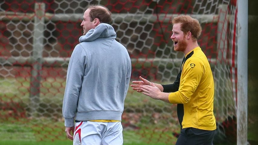 Prinz Harry und Prinz William