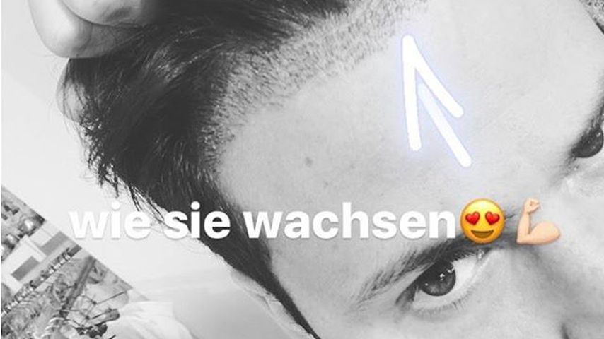Rocco Stark, Schauspieler