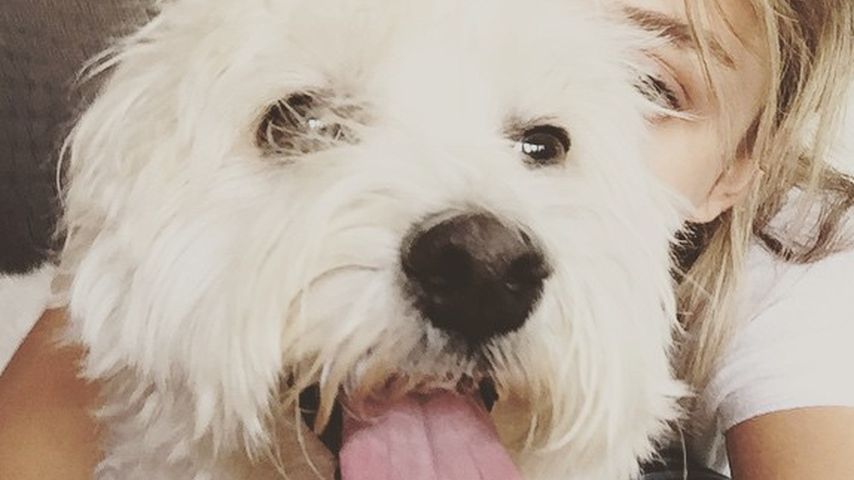 Sarah Hyland mit ihrem Hund Barkley