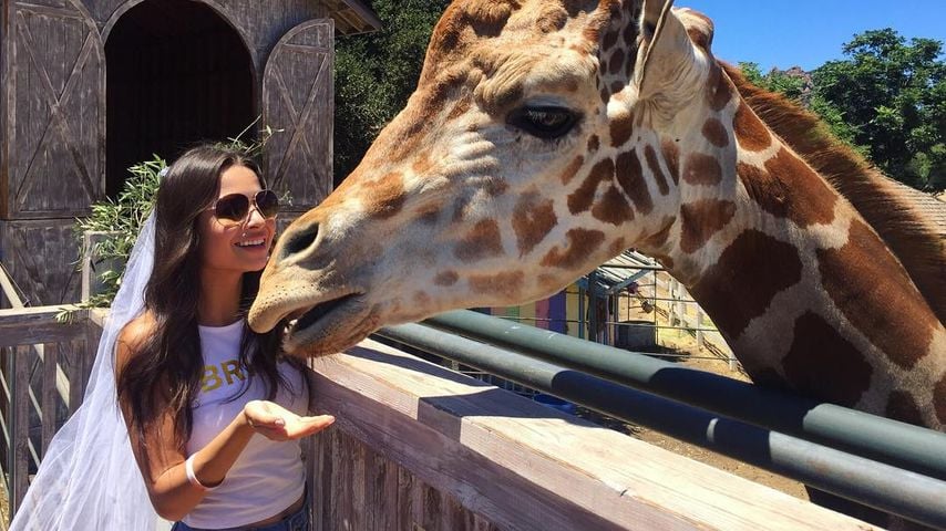 Sasha Clements bei ihrer "Bachelorette"-Party