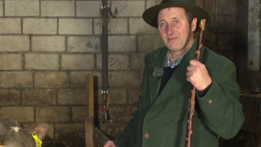 Schäfer Heinrich
