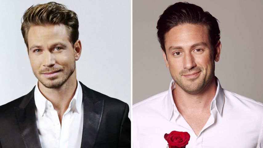 Anti-Gentleman? Sebastian Pannek versteht Daniel Völz nicht!