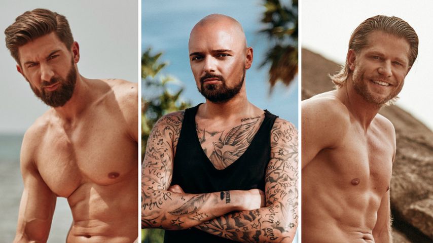 Boxen statt Streiten: Niklas hat Lösung für Sebi-Paul-Beef!