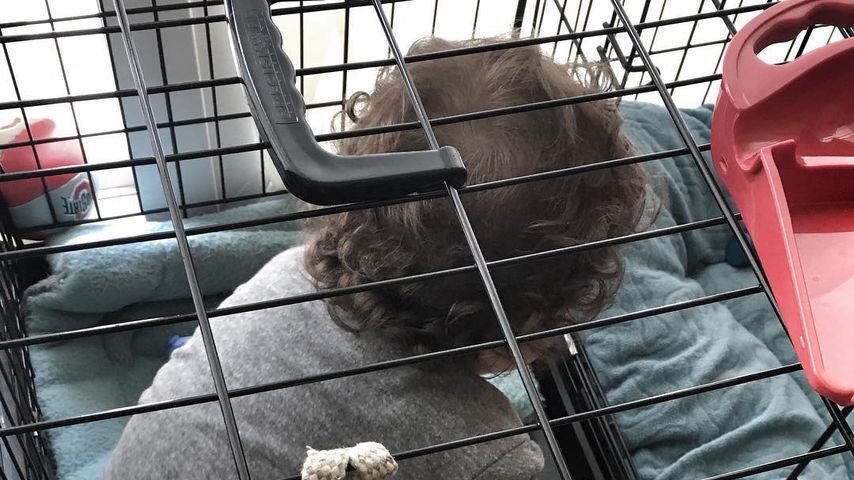 Rachelle Lefevres Sohn im Hundekäfig