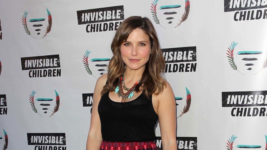 Sophia Bush