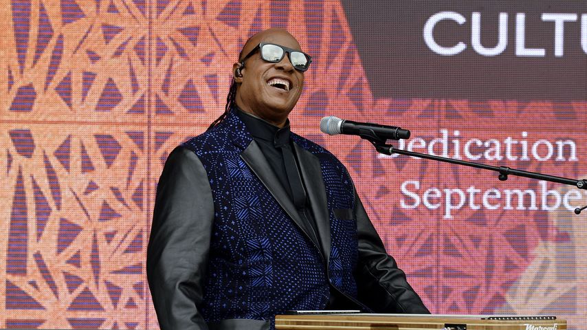 Stevie Wonder, Musiker