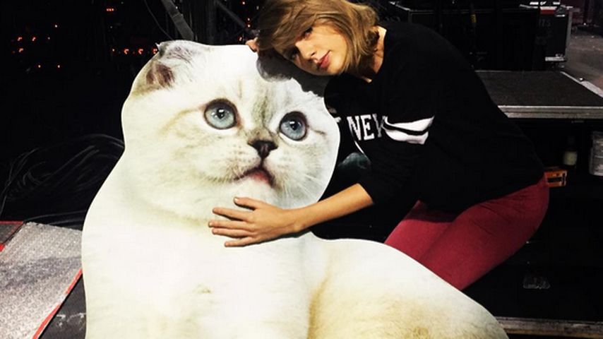 Taylor Swift