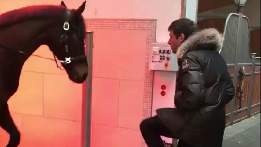 So witzig: Lisa Müllers Pferd macht Thomas' Moves nach!