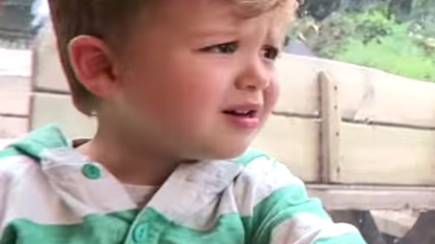 Tom Fletchers Sohn Buzz