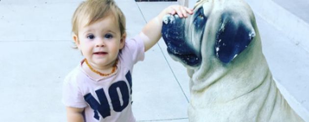 Andy Rose Osbourne streichelt unechten Hund Andy Rose Osbourne streichelt unechten Hund