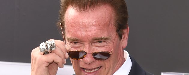 Hollywood-Star Arnold Schwarzenegger Hollywood-Star Arnold Schwarzenegger