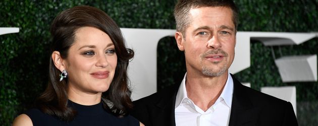 Brad Pitt und Marion Cotillard bei der "Allied"-Premiere Brad Pitt und Marion Cotillard bei der "Allied"-Premiere