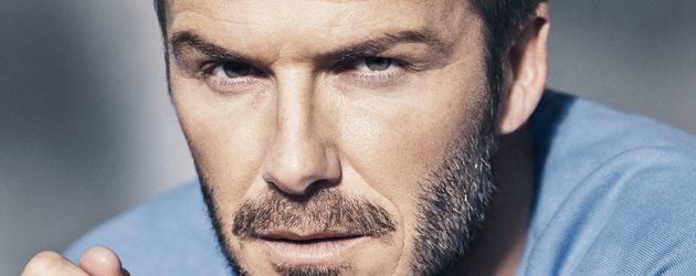 David Beckham David Beckham
