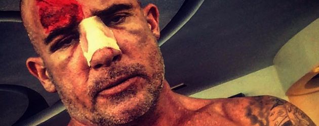 Dominic Purcell Dominic Purcell