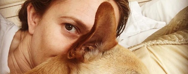 Drew Barrymore, Schauspielerin Drew Barrymore, Schauspielerin