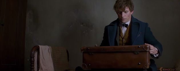 Eddie Redmayne in "Phantastische Wesen und wo sie zu finden sind" Eddie Redmayne in "Phantastische Wesen und wo sie zu finden sind"