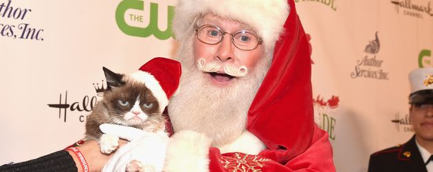 Grumpy Cat Grumpy Cat