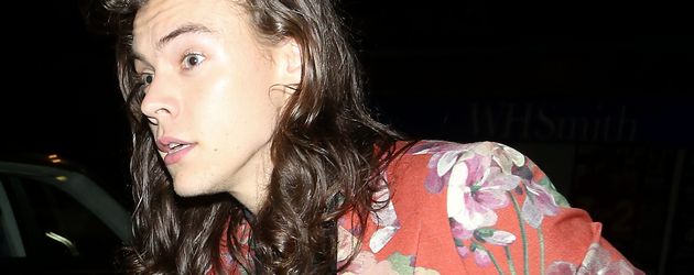 Harry Styles Harry Styles