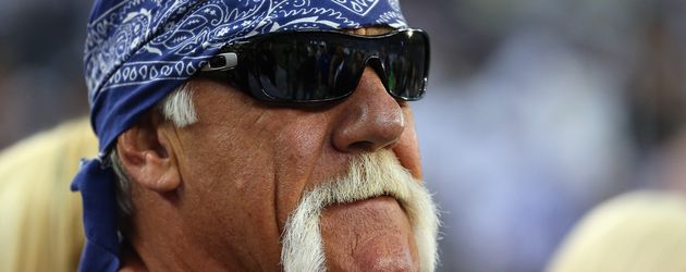 Hulk Hogan Hulk Hogan