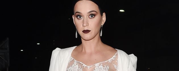 Katy Perry, Sängerin Katy Perry, Sängerin
