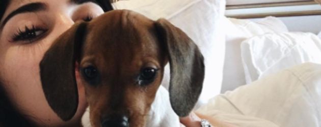 Kylie Jenner mit ihrem Puppy Penny Kylie Jenner mit ihrem Puppy Penny