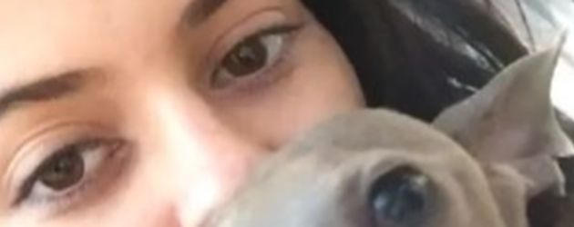 Kylie Jenner Kylie Jenner