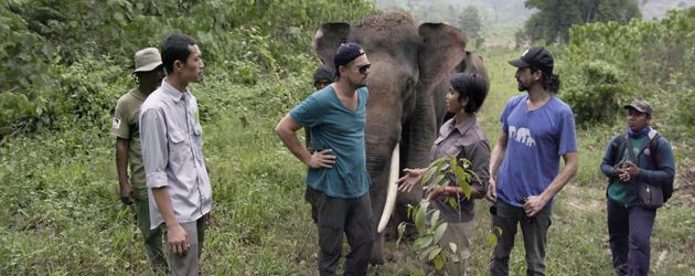 Leo DiCaprio in Indonesien für "Before The Flood" Leo DiCaprio in Indonesien für "Before The Flood"