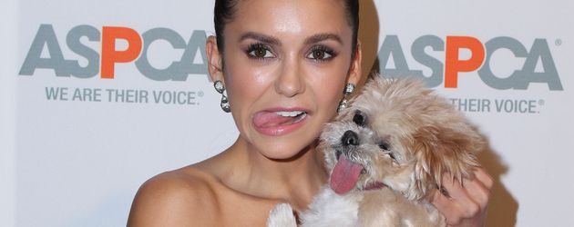 Nina Dobrev mit Marnie the dog auf dem Red Carpet des ASPCA event Nina Dobrev mit Marnie the dog auf dem Red Carpet des ASPCA event