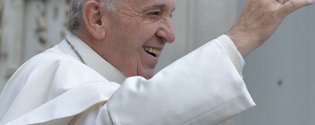 Papst Franziskus I. Papst Franziskus I.