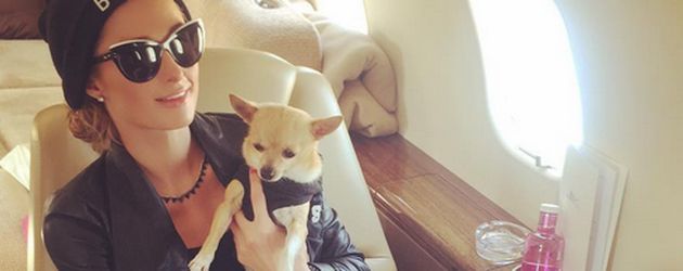 Paris Hilton mit ihrem Hund Peter Pan Paris Hilton mit ihrem Hund Peter Pan