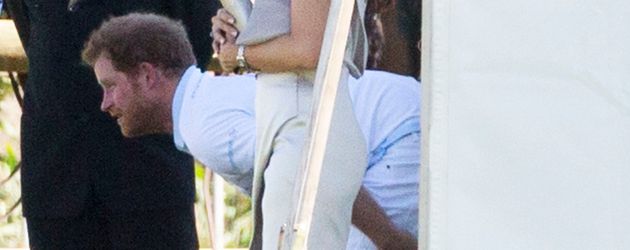 Prinz Harry Prinz Harry