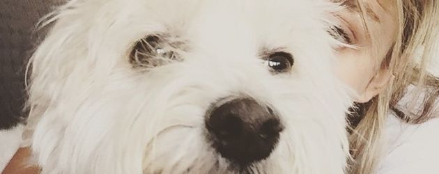 Sarah Hyland mit ihrem Hund Barkley Sarah Hyland mit ihrem Hund Barkley