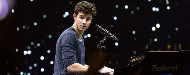 Shawn Mendes bei einem Konzert in New York Shawn Mendes bei einem Konzert in New York