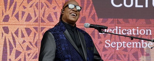 Stevie Wonder, Musiker Stevie Wonder, Musiker
