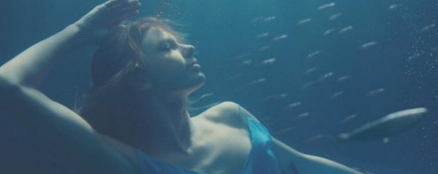 Taylor Swift Taylor Swift